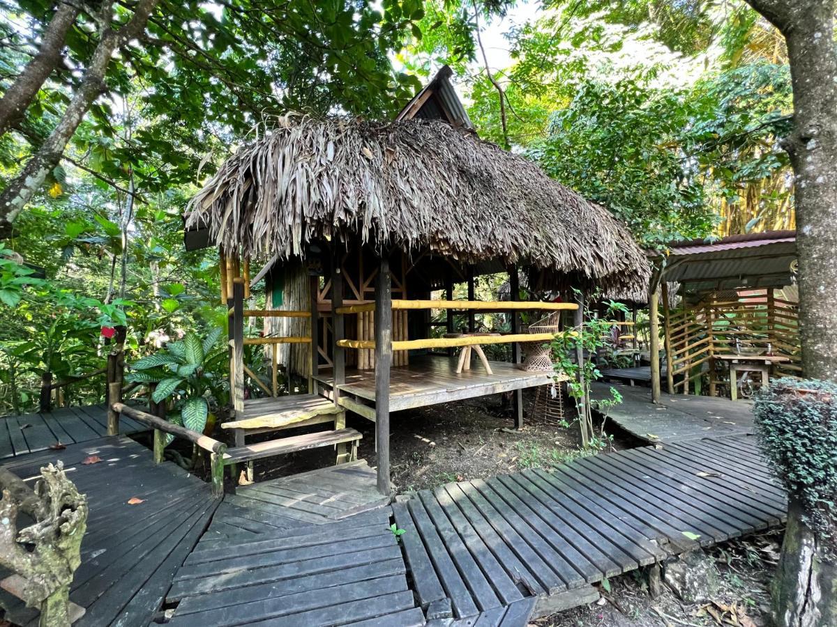 Cabanas Bambutan Palenque Exterior foto