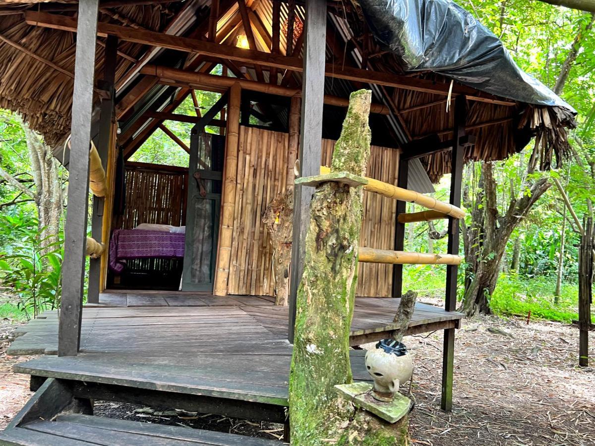 Cabanas Bambutan Palenque Exterior foto