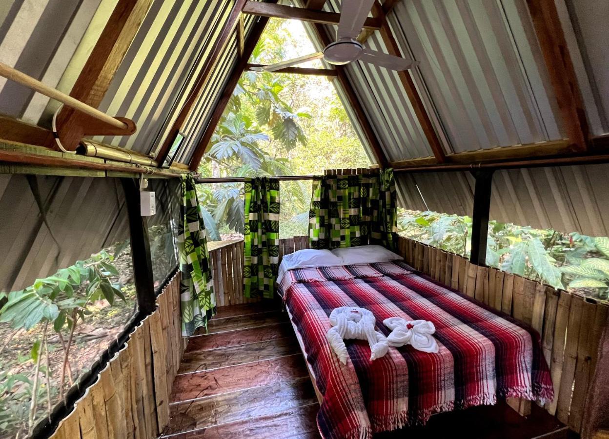 Cabanas Bambutan Palenque Exterior foto