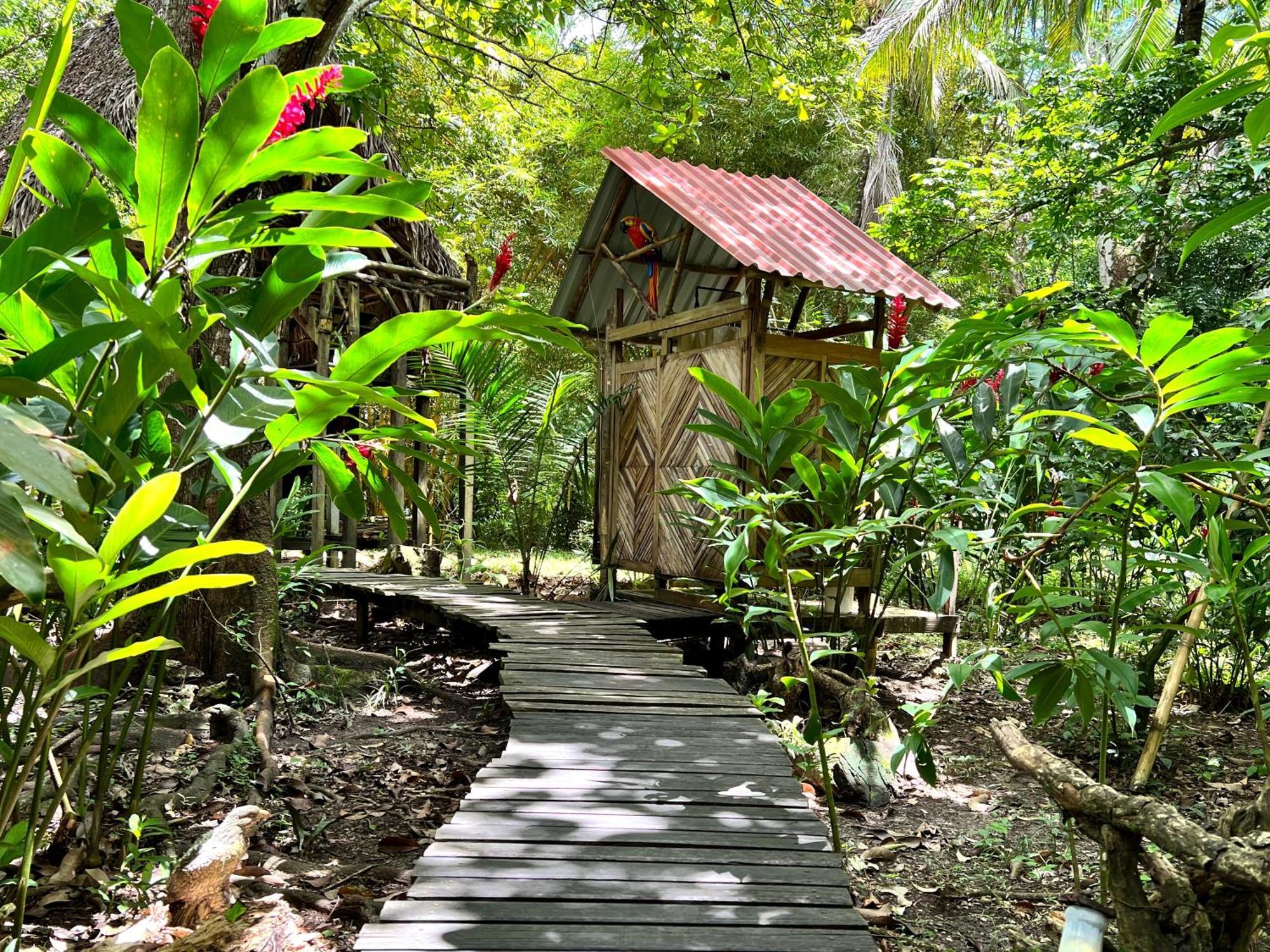 Cabanas Bambutan Palenque Zimmer foto